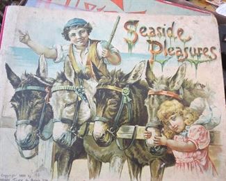 Seaside Pleasures a Father Tucks Book, a Bit Rough but Wonderful