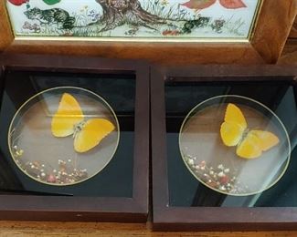 Butterfly Wall Displays