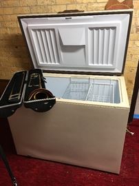 Trumpet available - Freezer sold