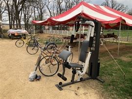 Vintage bikes and weight machine 