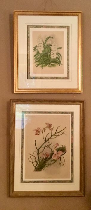 Lots of orchid framed pics