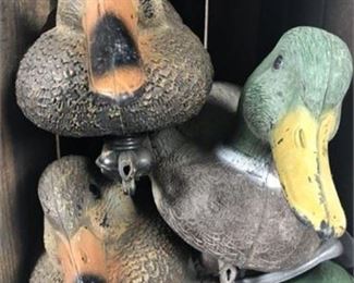 Lot 002 
Atlantic Motor Oil Shipping Crate With 5 Carrylite Duck Decoys