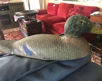 Duck decoy