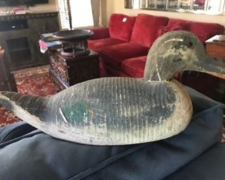 Animal Trap Company decoy