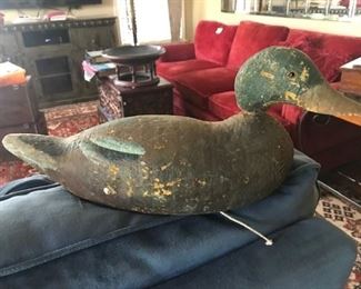 Duck decoy