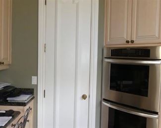 Pantry door 24x96