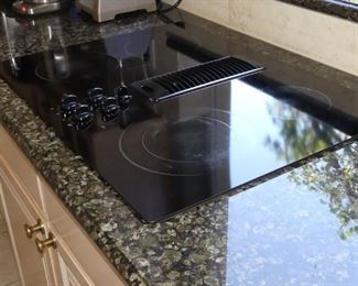 2005 GE Profile drop in cook-top