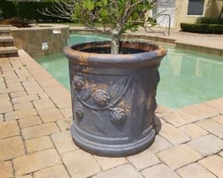 Terracotta Planters (4)