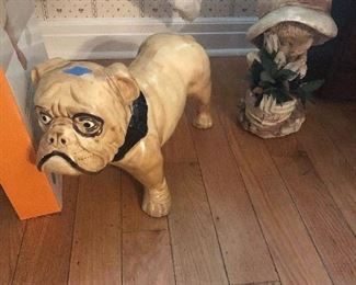 want a dog without the responsibility? Here is your chance!