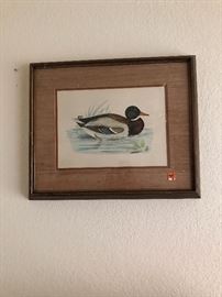 Framed duck print