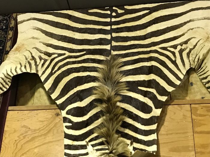 Zebra skin- large