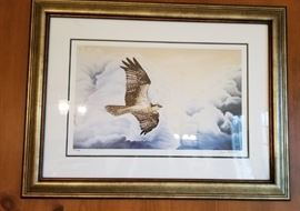 Jim Collins Peregrine Falcon Signed Numbered Print