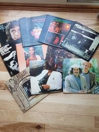Collection of Vinyl Records