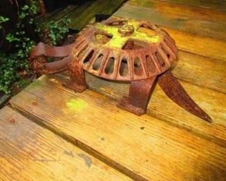 Rusty little turtle