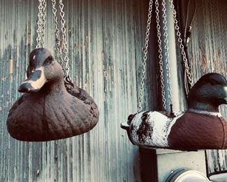 Hanging plant ducks