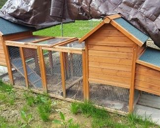 Chicken coop! 