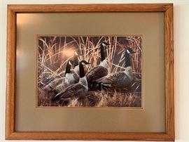 MANGELSEN “Canada Geese in Reeds” Signed by Thomas Mangelsen