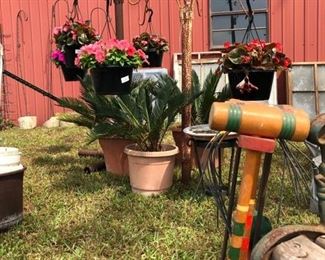 Plants, Sega Palms, Iron Plant Stands