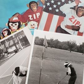 Zippy the Chimp promotional items "Don't Make A Monkey Out of Yourself Playing Sports"