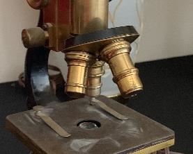 Antique Brass Microscope Leitz Bausch Lomb