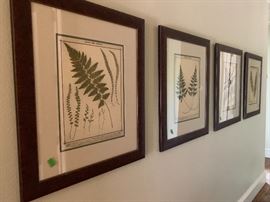 Botanical prints 