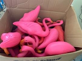 Pink flamingos 