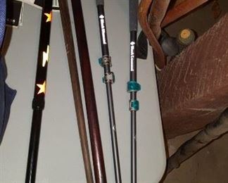 Walking Sticks