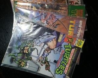 Turtles