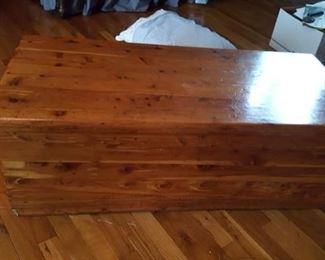 Cedar Trunk