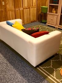 Sleek Sofa in Basement