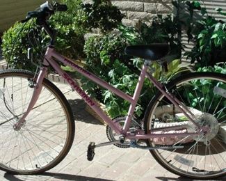 Vintage Schwinn Cruiser
