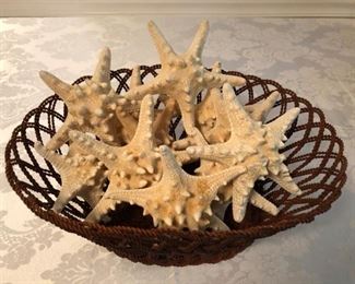 Starfish Star Fish