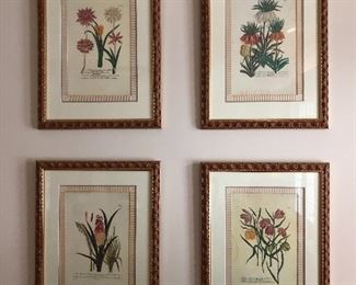 Great botanical prints!