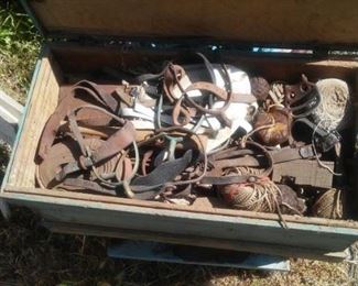 Horse tack repair kit with leather pieces; tools; spurs and more