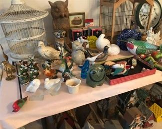 Bird Collection