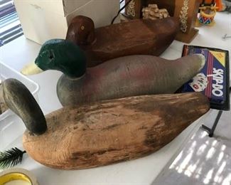Decoy Duck Collection