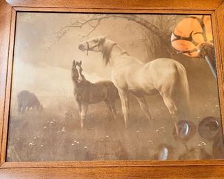 Equine/Horses in Field, Framed Art, Stunning!