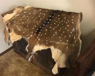 deer hide / skin