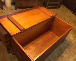 Interior view of cedar trunk