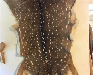 deer hide / skin