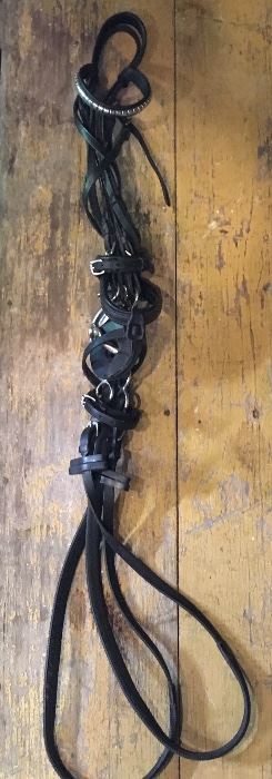 Bridle and reins