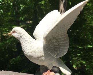 Alternate view of dove