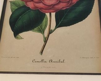 Alternate view of lithograph details
