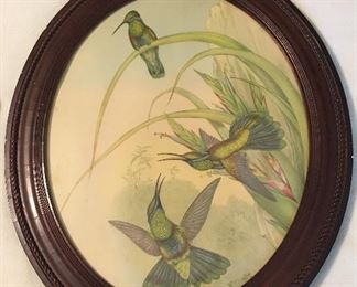 Hummingbird lithograph