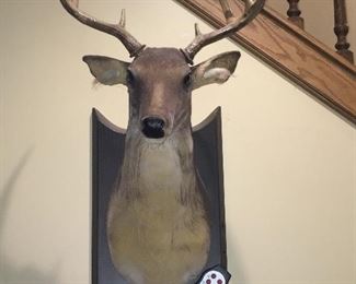 Buck, the singing and talking deer trophy and microphone you can sing and talk to Buck!