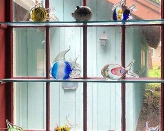 Nice selection of glass fish. 