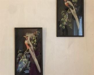 Vintage Bird prints with real feathers framed