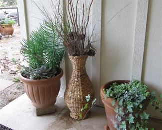 Outdoor plants