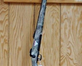 Savage Predator Hunter 22-250