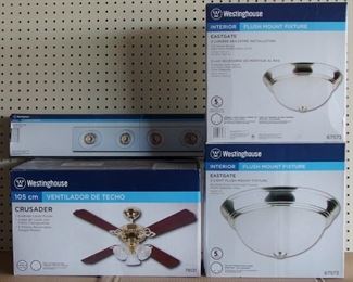 Fan and Light Fixtures